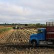Trucks Silage 2016