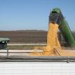 Dumping Corn in the Semi